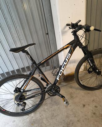 MTB FOCUS 
