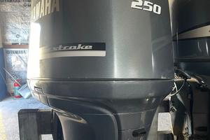 Yamaha 250 cv 4 tempi 10 ore all'attivo