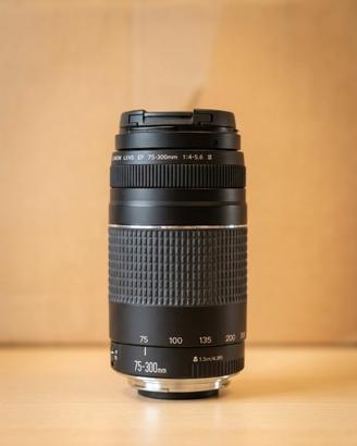 Obiettivo Canon EF 75-300mm f/4-5.6 III