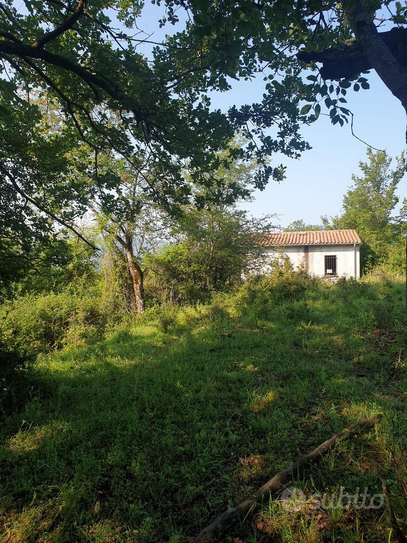 Terreno 6 ettari - Vista 2