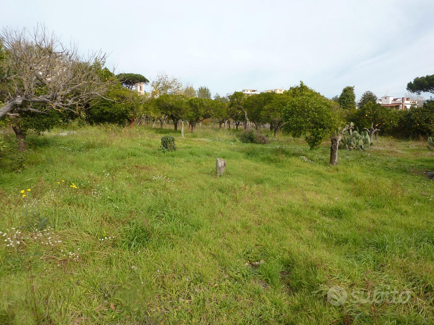 Terreno in Boscotrecase - Vista 4