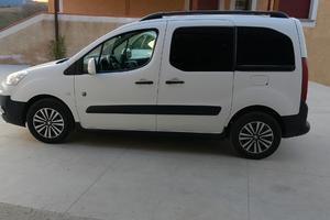 Peugeot partner teepe