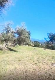 Terreno agricolo 3000 mq
