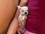 Immagine 4