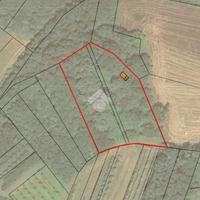 MAGAZZINO A MONCRIVELLO