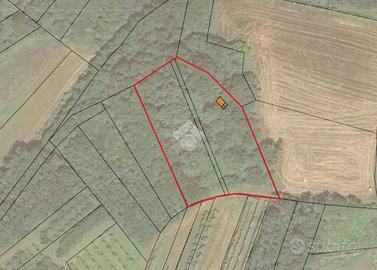 MAGAZZINO A MONCRIVELLO