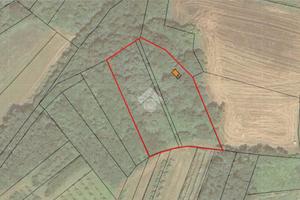 MAGAZZINO A MONCRIVELLO