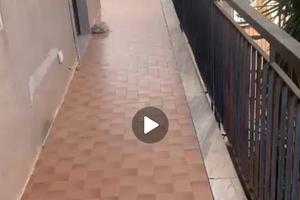 Ampio appartamento panoramico - Pellaro, Reggio Ca