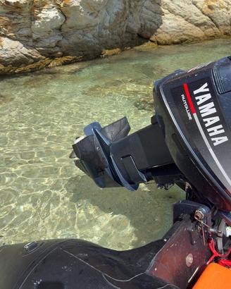 Yamaha 25 autolube