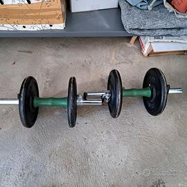 manubri 12 kg linea flex 