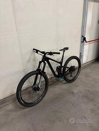 Giant reign cf 29