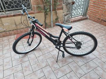Bicicletta donna