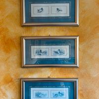 Set 3 Quadri Vintage - Illustrazioni Anatre