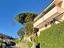 Immagine 7