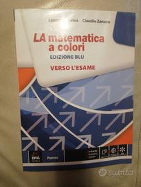 la matematica a colori verso l'esame 9788849421279