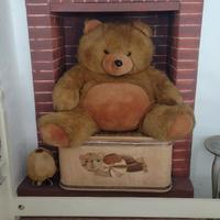 Orso gigante