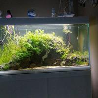 Acquario Malberti 380 lt + mobile