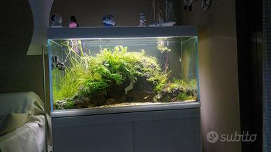 Acquario Malberti 380 lt + mobile