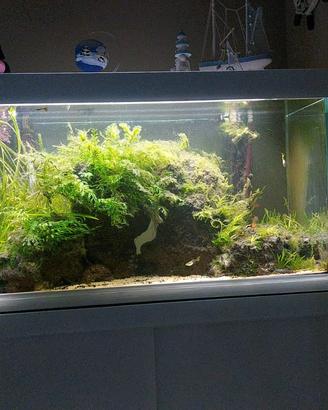 Acquario Malberti 380 lt + mobile