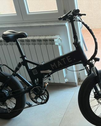 Bici elettrica Mate X