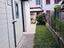 Immagine 12
