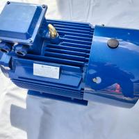 Motore trifase 22.00kw