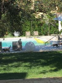 Villa o villino Brindisi [SG055VRG]