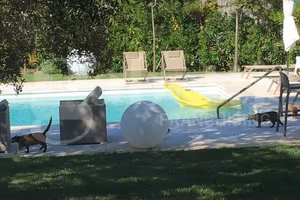 Villa o villino Brindisi [SG055VRG]