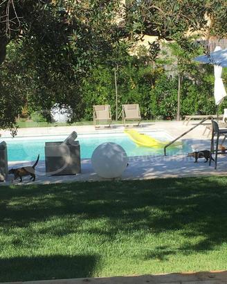 Villa o villino Brindisi [SG055VRG]