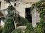 Immagine 6