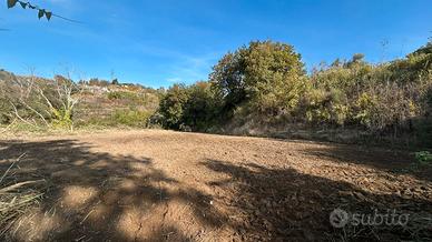 1000 mq Terreno zona vomero camaldolilli