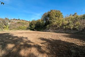 1000 mq Terreno zona vomero camaldolilli