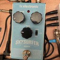 Tc electronic skysurf reverb