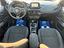 Immagine 7