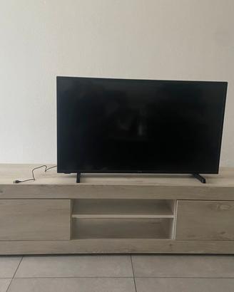 Mobile TV