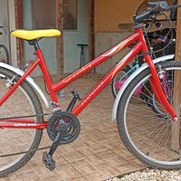bicicletta ragazzo ruote 26