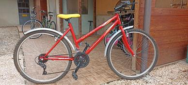 bicicletta ragazzo ruote 26