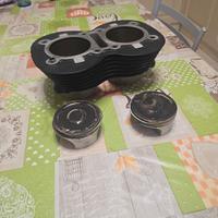 Cilindri Triumph Scrambler 900 Descrizione 