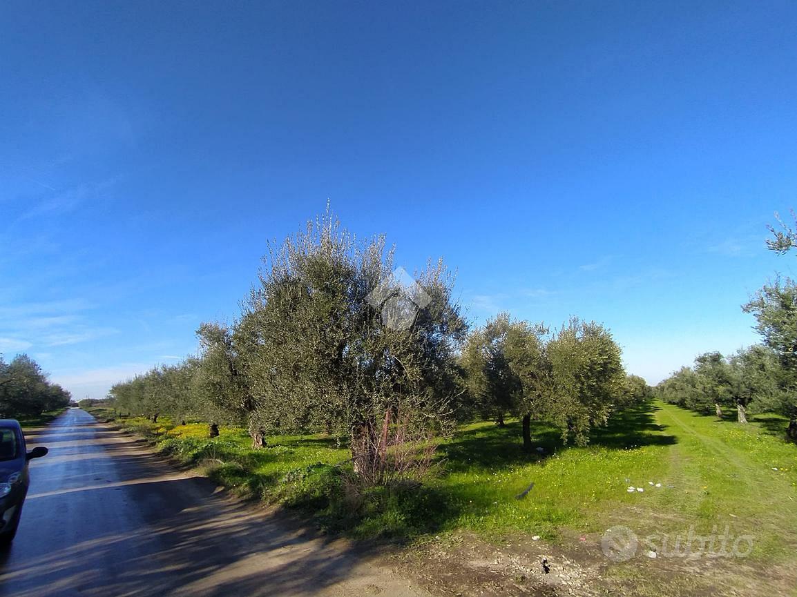 TER. AGRICOLO A CERIGNOLA - Vista 5