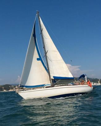 Barca a vela Brigand 950