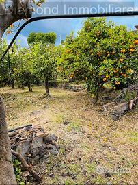 Terreno agricolo e deposito Fiumefreddo di Sicilia