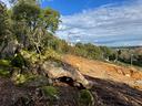 terreno-edificabile-zona-residenziale-luogosant-