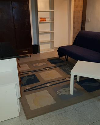 Monolocale Parco Dora