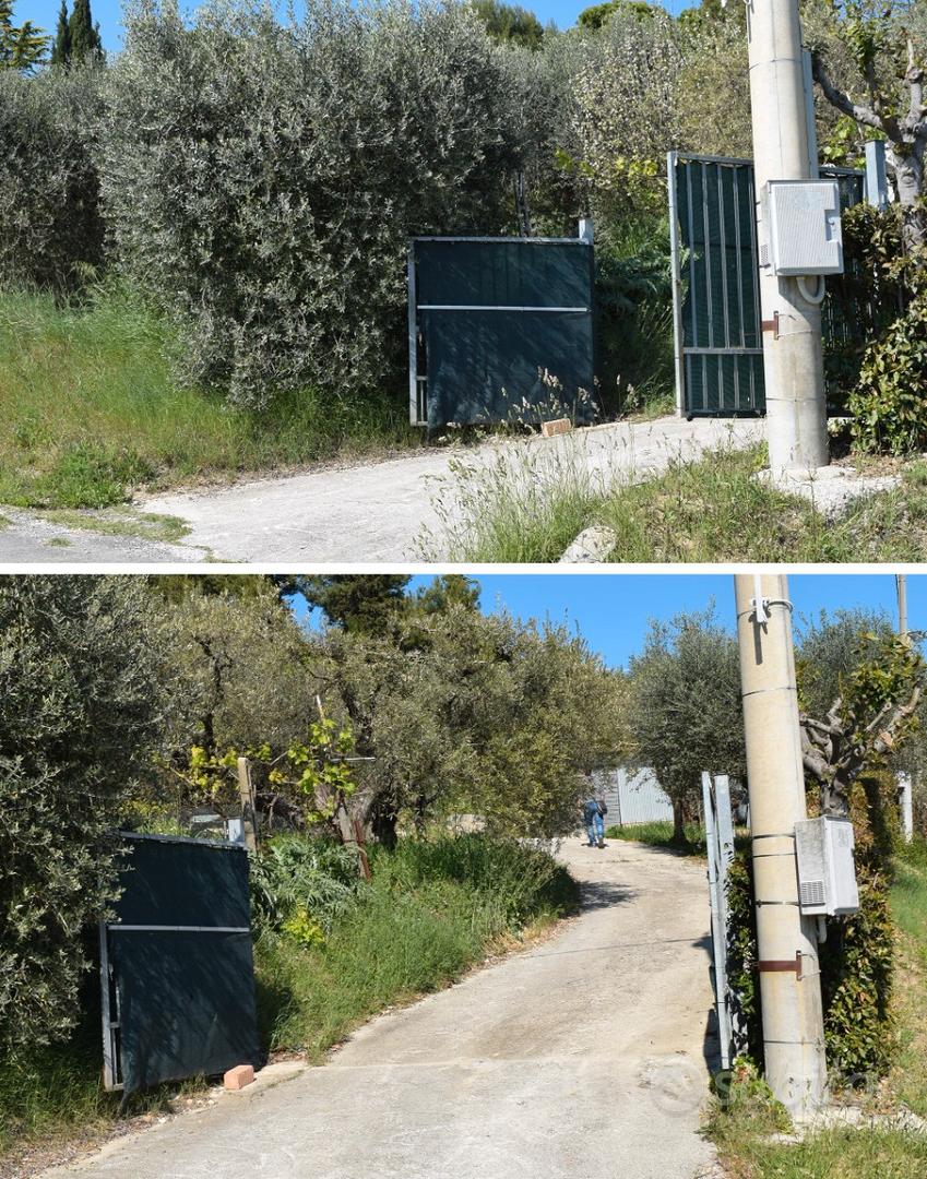 Terreno agricolo 5000 MQ con uliveto e prefabbrica - Vista 3