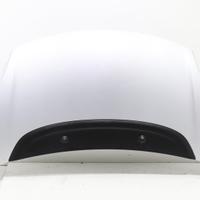 COFANO ANTERIORE FIAT 500 L Serie (351_352) 168978