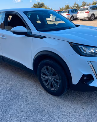 Peugeot 2008 N1 1.5 81kw 110 CV