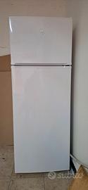 frigo Indesit