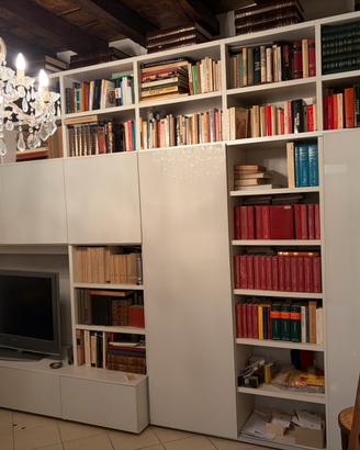 libreria moderna