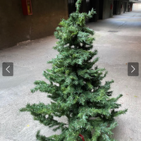 Albero di Natale