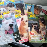 17 Riviste "Il Mio Cane"